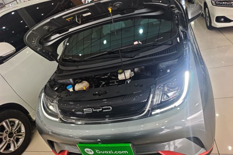 Used BYD Dolphin 2021 405 km Fashion Edition Engine Bay