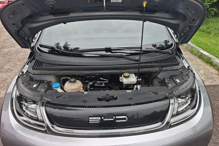 Used BYD Dolphin 2021 405 km Free Version Engine Bay