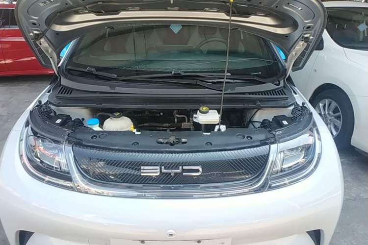 Used BYD Dolphin 2021 405 km Fashion Edition Engine Bay