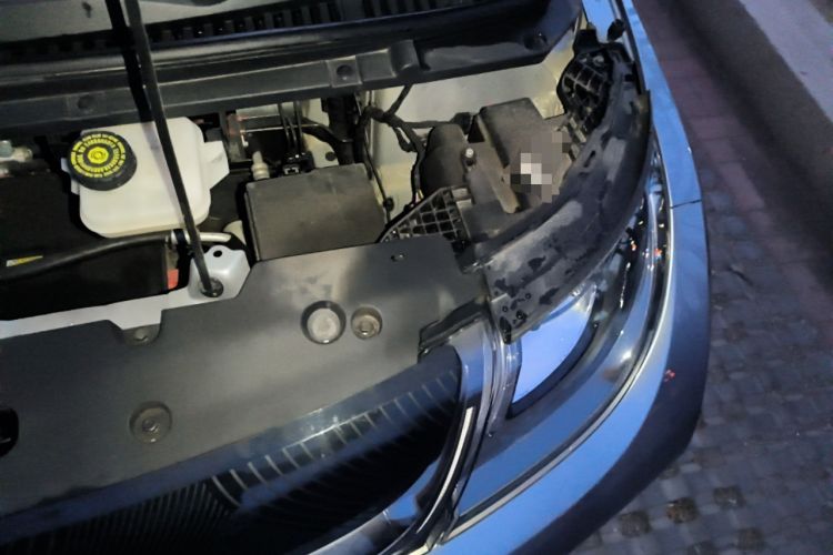 Used BYD Dolphin 2021 405 km Fashion Edition Engine Bay Left