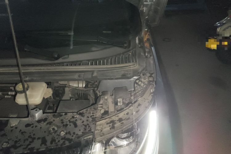 Used BYD Dolphin 2021 405 km Fashion Edition Engine Bay Left
