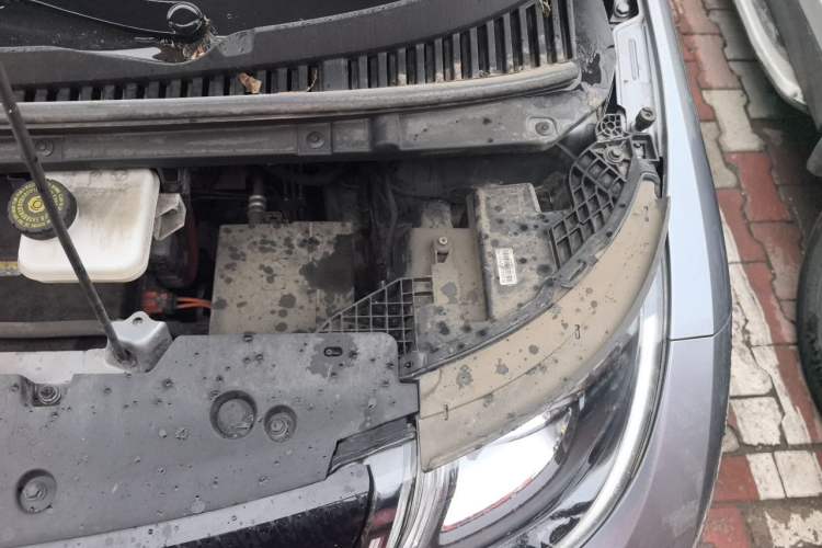 Used BYD Dolphin 2021 405 km Free Version Engine Bay Left