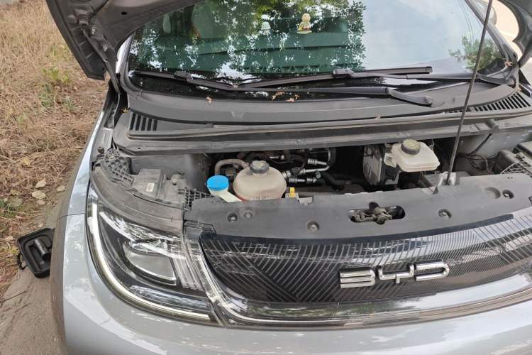 Used BYD Dolphin 2021 405 km Fashion Edition Engine Bay Right