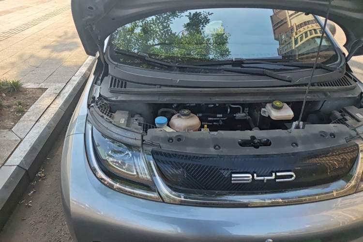 Used BYD Dolphin 2021 405 km Free Version Engine Bay Right