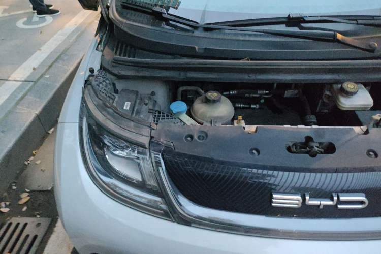 Used BYD Dolphin 2021 405 km Free Version Engine Bay Right