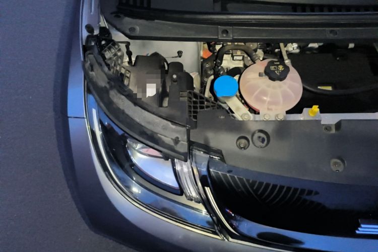 Used BYD Dolphin 2021 405 km Fashion Edition Engine Bay Right