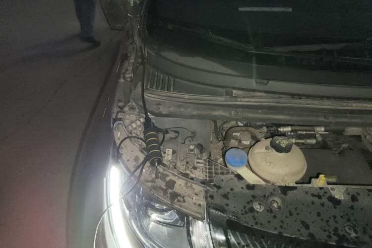 Used BYD Dolphin 2021 405 km Fashion Edition Engine Bay Right
