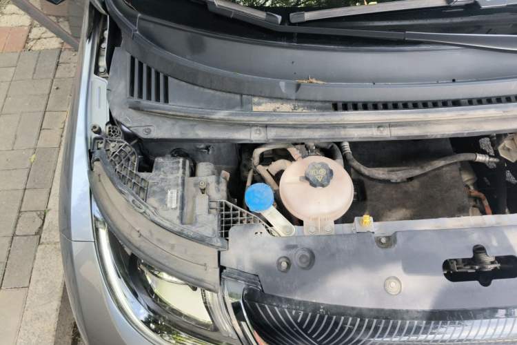 Used BYD Dolphin 2021 405 km Free Version Engine Bay Right