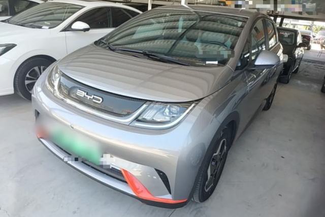 Used BYD Dolphin 2021 405 km Free Version