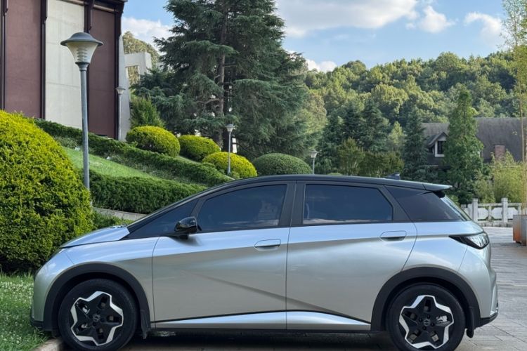 Used BYD Dolphin 2021 405 km Fashion Edition Exterior 5