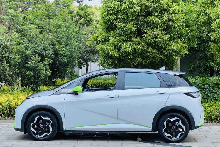 Used BYD Dolphin 2021 405 km Fashion Edition Exterior 6