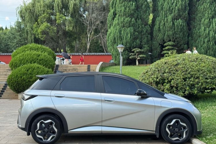 Used BYD Dolphin 2021 405 km Fashion Edition Exterior 9