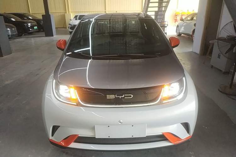 Used BYD Dolphin 2021 405 km Free Version Front