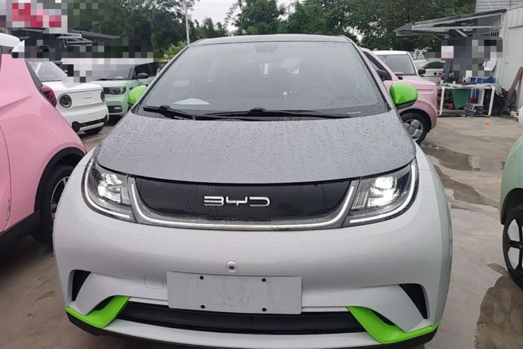 Used BYD Dolphin 2021 405 km Fashion Edition Front