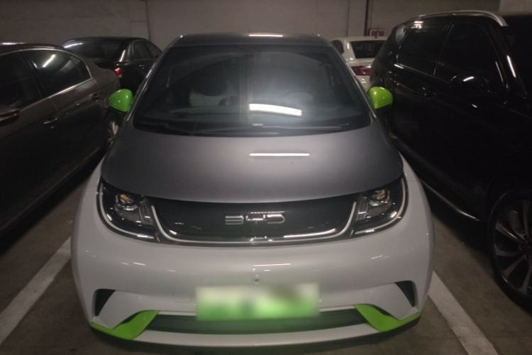 Used BYD Dolphin 2021 405 km Fashion Edition Front