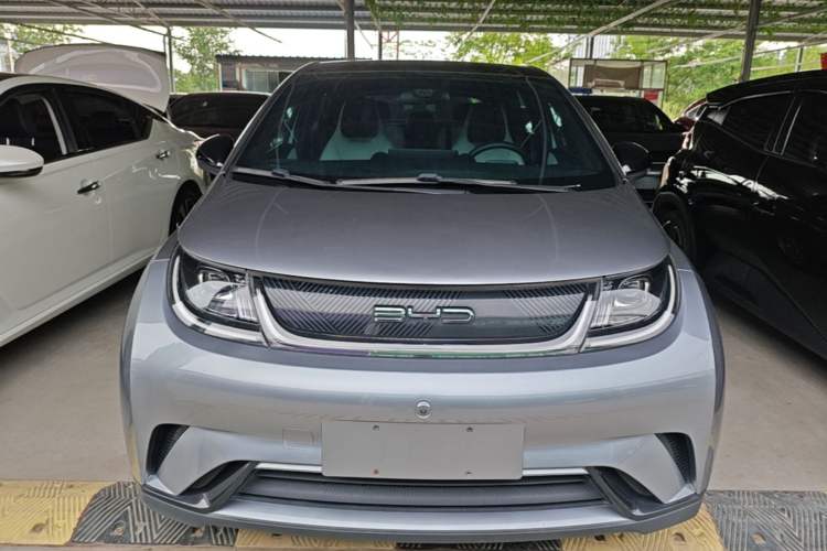 Used BYD Dolphin 2021 405 km Fashion Edition Front