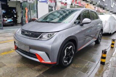 Used BYD Dolphin 2021 405 km Free Version