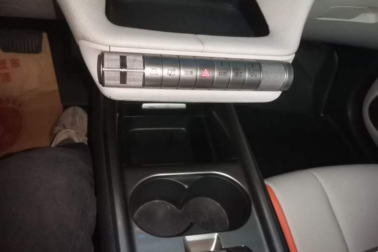 Used BYD Dolphin 2021 405 km Fashion Edition Gear Lever