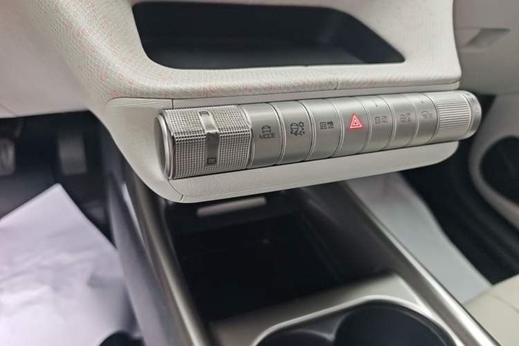 Used BYD Dolphin 2021 405 km Free Version Gear Lever