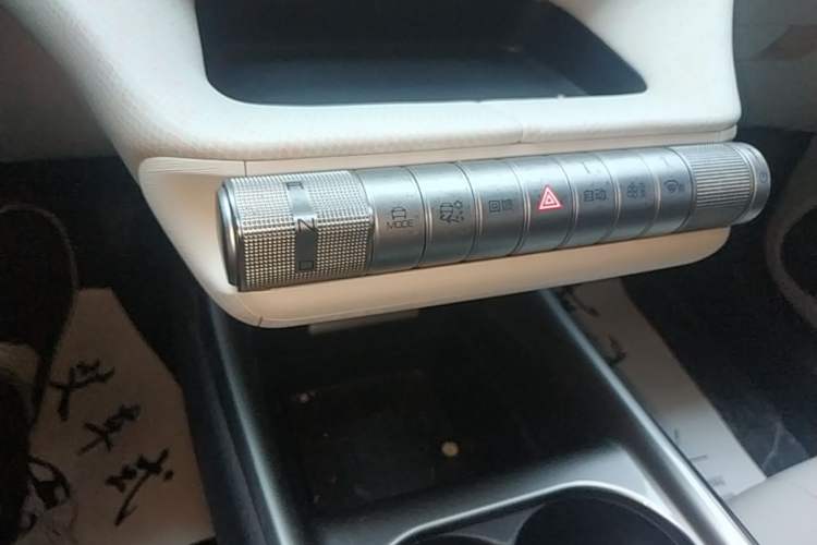 Used BYD Dolphin 2021 405 km Fashion Edition Gear Lever