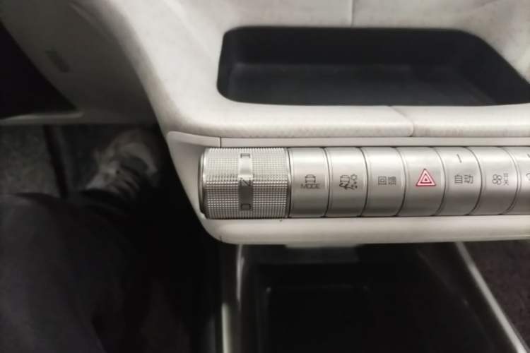 Used BYD Dolphin 2021 405 km Fashion Edition Gear Lever