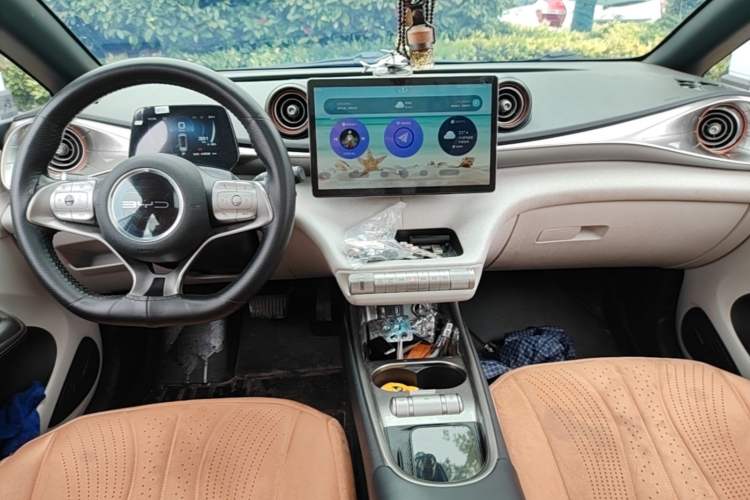 Used BYD Dolphin 2021 405 km Fashion Edition Gear Lever
