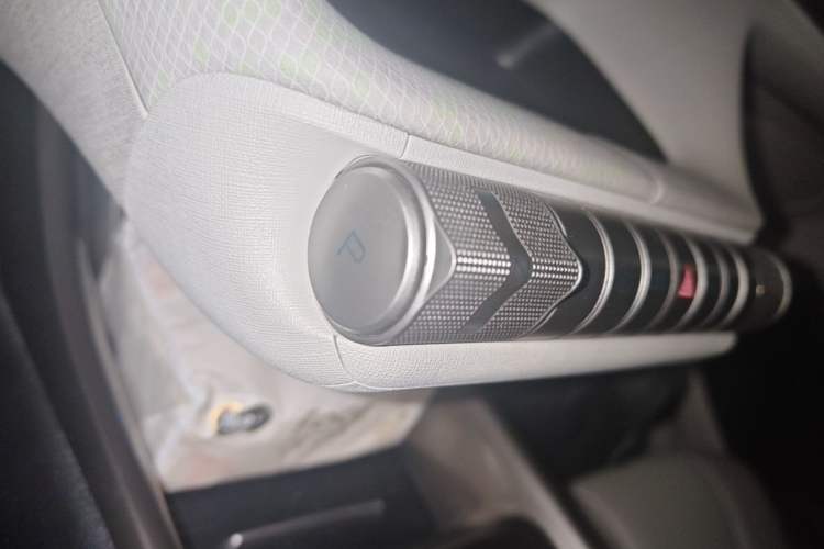 Used BYD Dolphin 2021 405 km Fashion Edition Gear Lever