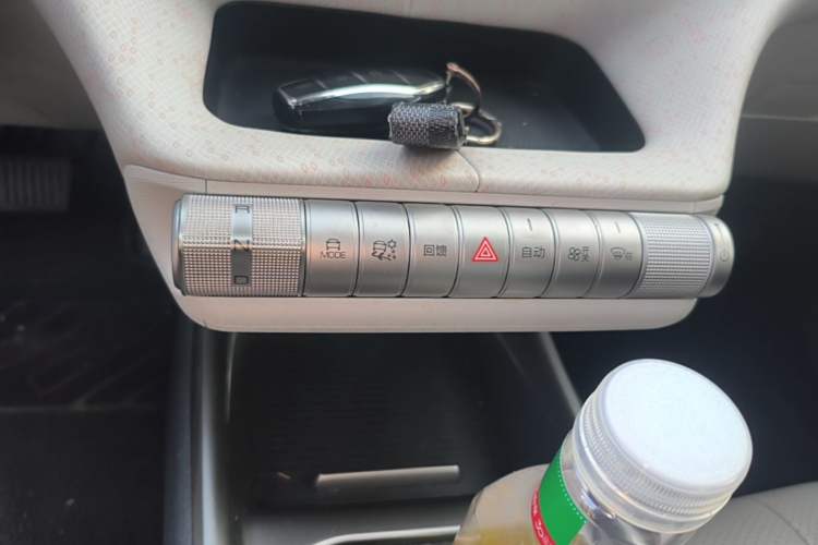 Used BYD Dolphin 2021 405 km Fashion Edition Gear Lever