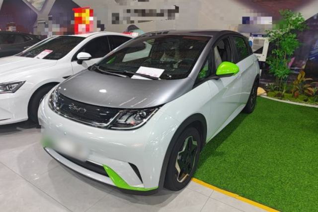 Used BYD Dolphin 2021 405 km Free Version