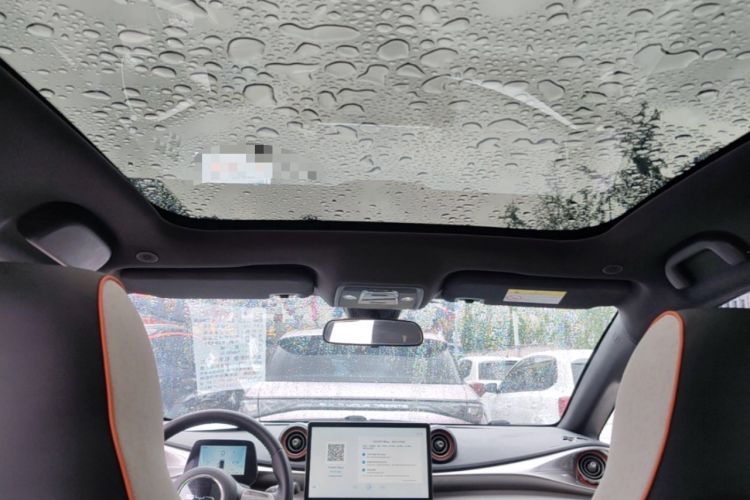 Used BYD Dolphin 2021 405 km Fashion Edition Headliner
