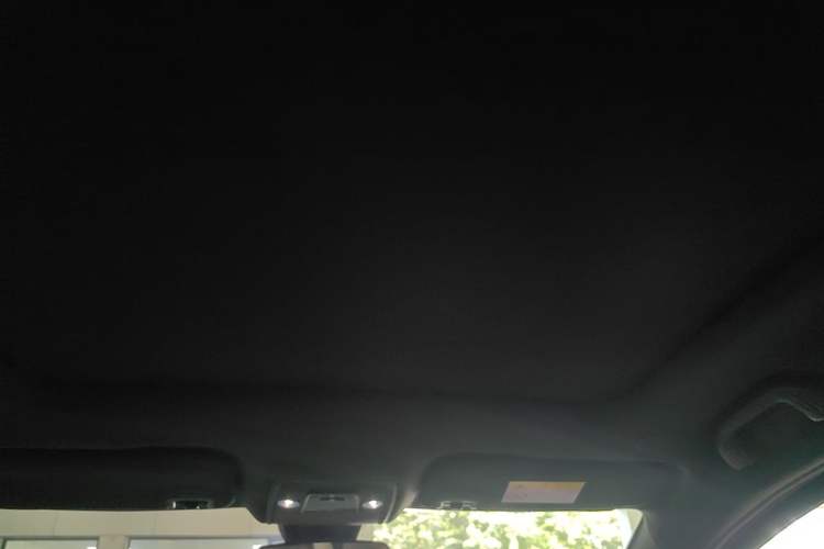 Used BYD Dolphin 2021 405 km Fashion Edition Headliner