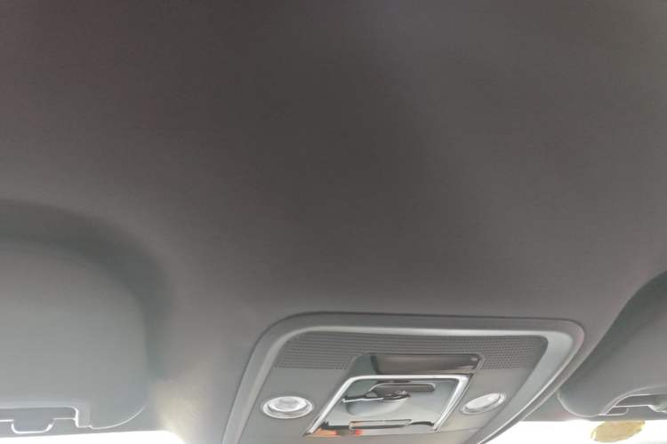 Used BYD Dolphin 2021 405 km Fashion Edition Headliner