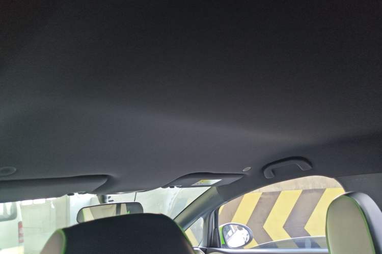 Used BYD Dolphin 2021 405 km Free Version Headliner