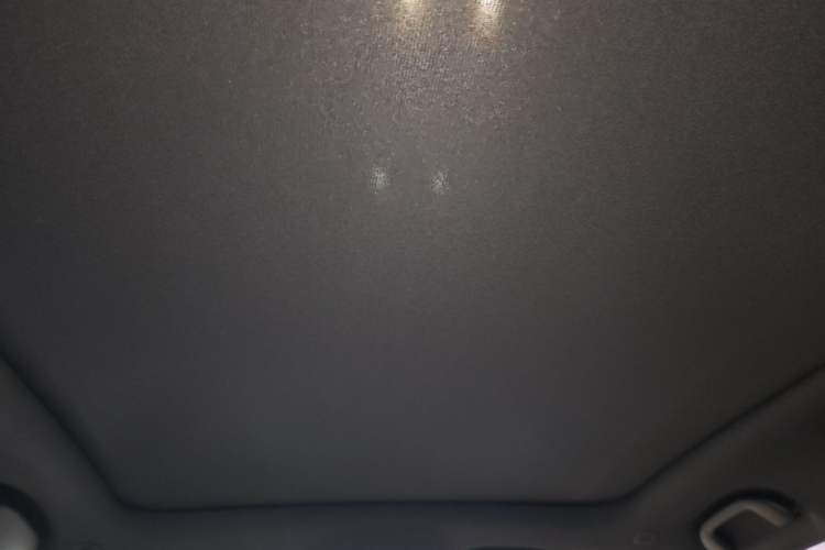 Used BYD Dolphin 2021 405 km Fashion Edition Headliner