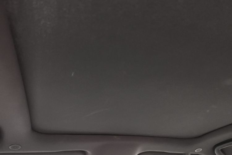 Used BYD Dolphin 2021 405 km Fashion Edition Headliner