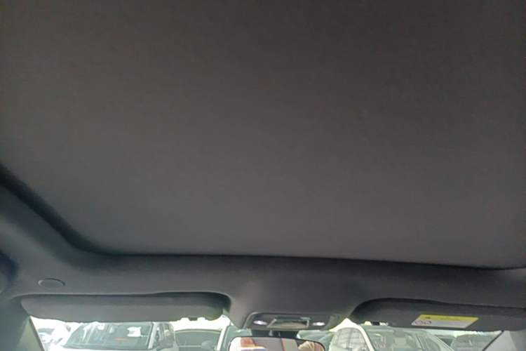 Used BYD Dolphin 2021 405 km Fashion Edition Headliner