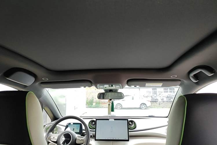 Used BYD Dolphin 2021 405 km Fashion Edition Headliner