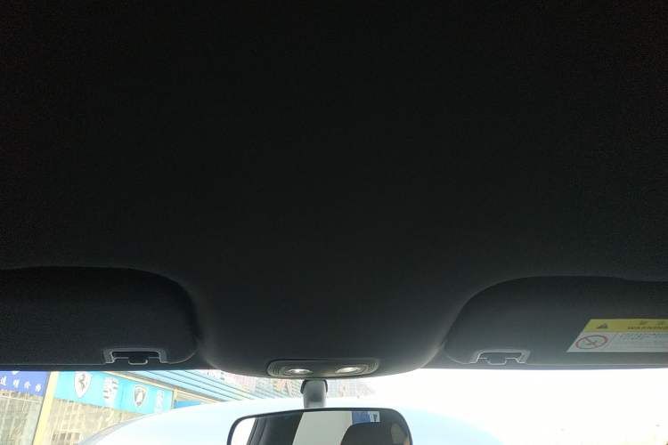 Used BYD Dolphin 2021 405 km Free Version Headliner