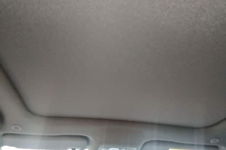 Used BYD Dolphin 2021 405 km Fashion Edition Headliner