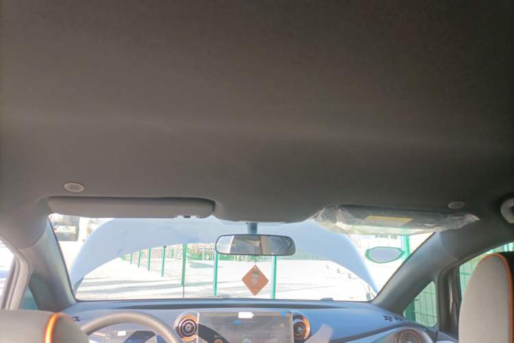 Used BYD Dolphin 2021 405 km Free Version Headliner