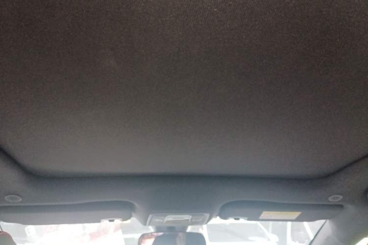 Used BYD Dolphin 2021 405 km Fashion Edition Headliner