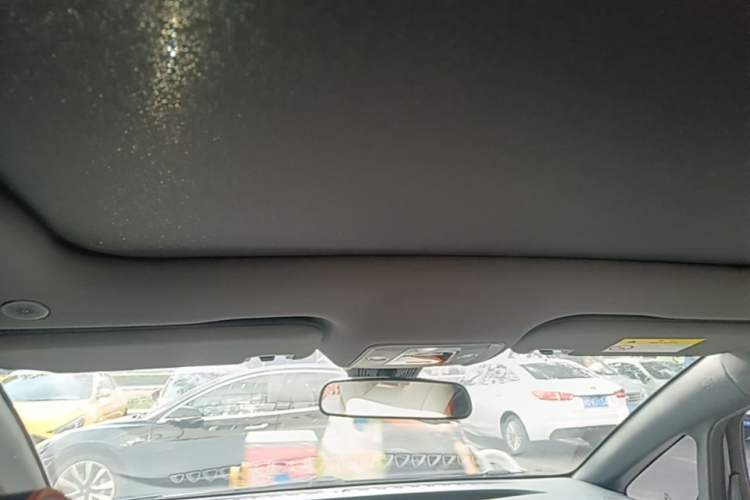 Used BYD Dolphin 2021 405 km Fashion Edition Headliner