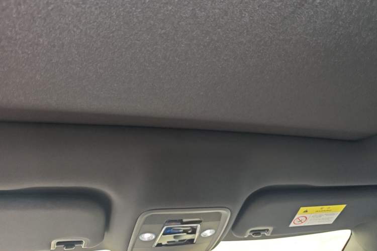 Used BYD Dolphin 2021 405 km Fashion Edition Headliner