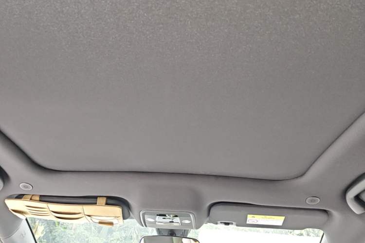 Used BYD Dolphin 2021 405 km Fashion Edition Headliner