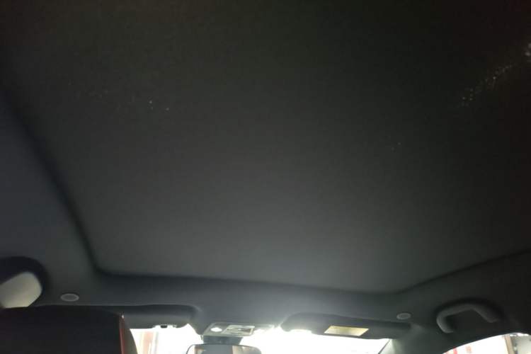 Used BYD Dolphin 2021 405 km Fashion Edition Headliner
