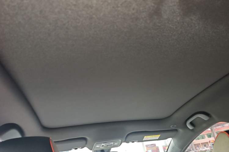 Used BYD Dolphin 2021 405 km Free Version Headliner