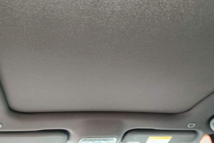 Used BYD Dolphin 2021 405 km Fashion Edition Headliner