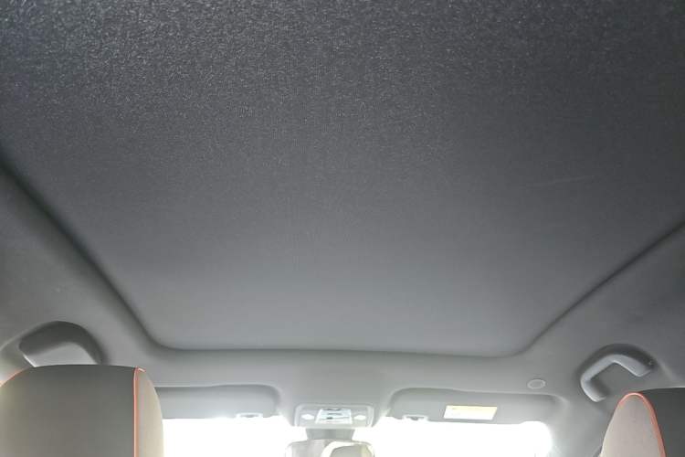 Used BYD Dolphin 2021 405 km Fashion Edition Headliner