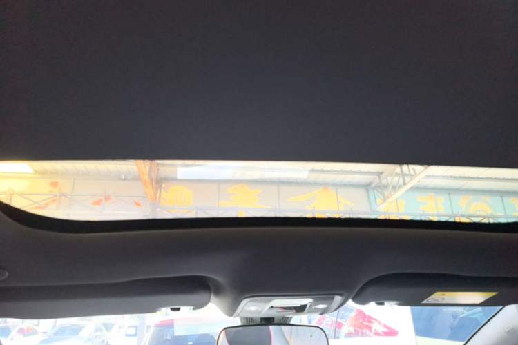 Used BYD Dolphin 2021 405 km Fashion Edition Headliner