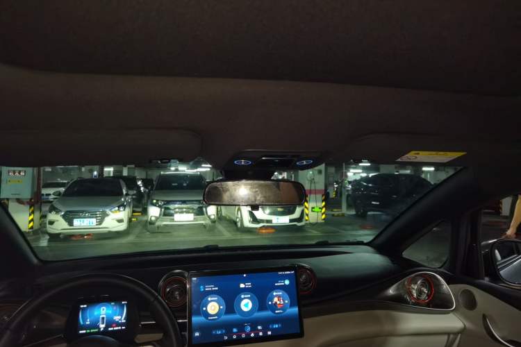 Used BYD Dolphin 2021 405 km Fashion Edition Headliner
